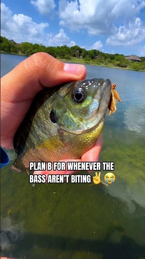 PLAN B😭 #bassfishing #fisherman #fishing #fishinglife #sportfishing #fishingshorts #fishingvideo