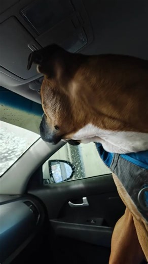 Chance Vs Car 🚗 Wash