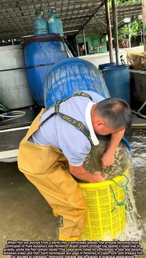 Separation of Fish and Water Using a Perforated Basket System