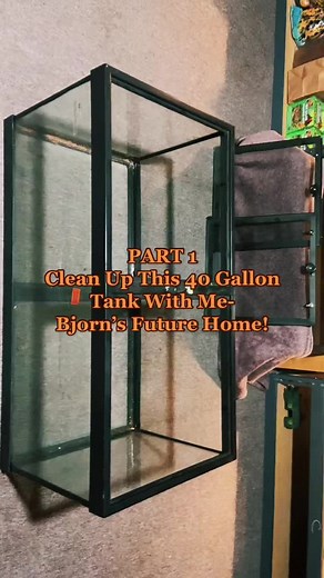 Gecko Tank Cleaning Guide: Steps & Tips | Part 1