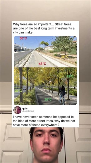 Why trees are important