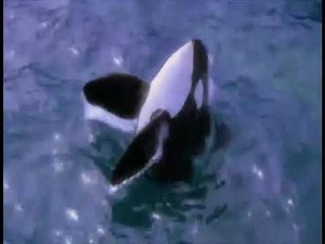 Baby Neptune The Water Water Everywhere