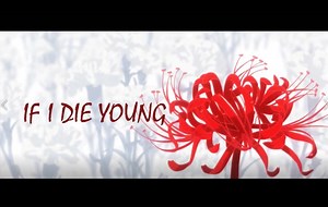 【预告向】IF I DIE YOUNG （英年早逝的传说）