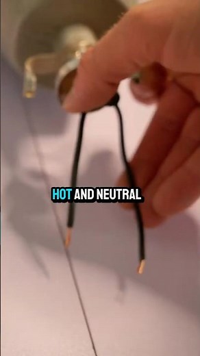 Which is the “hot” wire, which is the “neutral”?