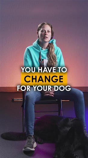 You have to change for your dog. Want to become a Professional Dog Trainer? Start your career today at Method K9 Institute. We have online or in-person options, accept payment plans, offer business coaching and more! Begin your career now by going to institute.methodk9.com. You can use our Coupon Code: SECRETSAVINGS to get 50% off of our certification courses. Join us today! #dogtraining #certifieddogtrainer #trainyourdog #professionaldogtrainer #dogtrainerschool #dogsofinstagram #shelterdog #re