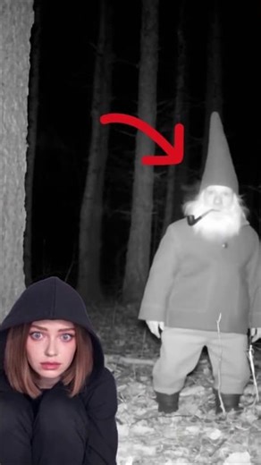 Real Gnome Caught on Camera 👀 #scaryai