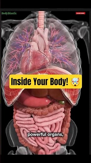 Inside the Human Body 🧬 | The Incredible Machine Keeping You Alive! 🤯