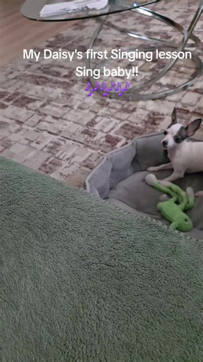 #SurvivingMsDaisy #DaisyDukes #JoanWick | Singing Lessons