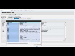 Vistas de base de datos SAP.