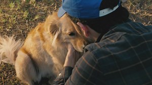 Dog being petted - Free Stock Video