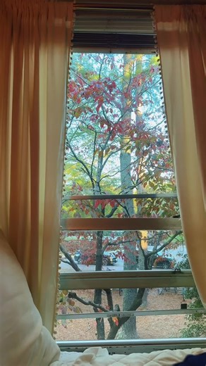Farewell to Spotty 210: Freshman Year at W&M