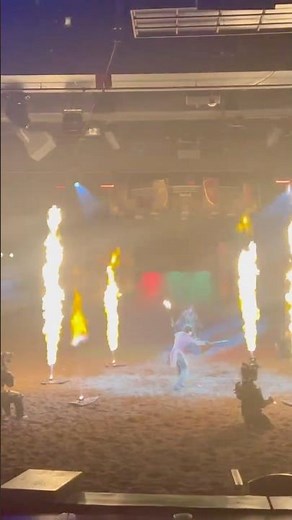 Tournament of Kings Las Vegas show at Excalibur Casino