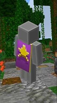 The Rarest Capes in Minecraft...