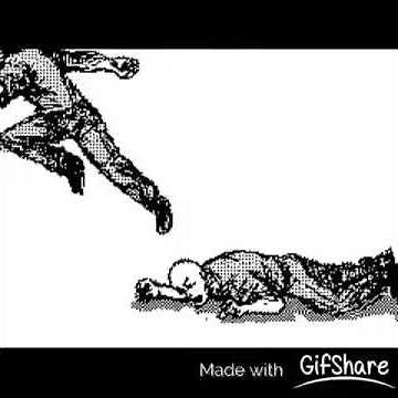 Kyokushin Karate Animations