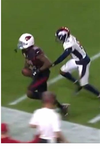 The Ultimate Ball Hawk: Pat P Highlights 🦅🏈#NFL#PatrickPeterson#ArizonaCardinals#NFLHighlights#Interception