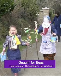 Here is a tradition particular to Wexford but also found over in Sweden and Finland - where children get dressed up at Easter and house call to neighbours looking for their Easter eggs. We called it "Gugging for Eggs" and my own grandmother did it as a child in the early 1920s. Armed with a stick and a basket, you'd knock on doors and say "Guggs, Guggs, Eggs or money mam?" This little video is from 2018 of my own little ones doing it. Text: Michael Fortune | folklore.ie