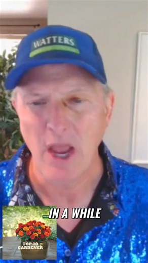 Learn how to utilize crop rotations effectively in your small garden by swapping out peas for beans. Beans thrive in the summer, making them a perfect replacement for peas, which prefer cooler temperatures. Discover the benefits of this simple gardening tip and optimize your garden's productivity. #GardeningTips #CropRotations #SmallGardenHacks #BeanPlanting #GardenProductivity #SummerGardening #GardeningIdeas #GardenTips #PlantSwap #MaximizeCropYield | Watters Garden Center