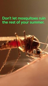 23K views · 1K reactions | Mosquitoes are among the world's deadliest...