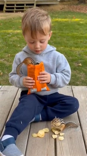 Funny Moments With Chipmunks eating with my Boy #funny #eating #pets #chipmunk