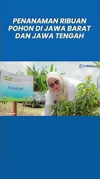 PLN UIP JBT Turut Ambil Bagian dalam Penanaman Ribuan Pohon di Jawa Barat dan Jawa Tengah