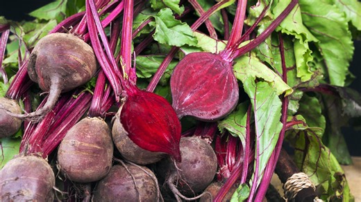 10 gardening tips for growing a big beet garden