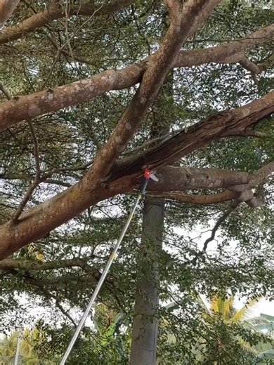 Set Galah Panjang Multifungsi dengan Diskaun 70%