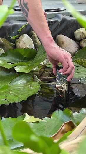 Under water 💦 camera test video | Mobile Professor 5G