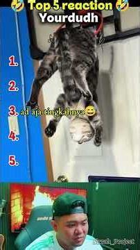 kucing mujaer 😭#funny #reaction #comedy #lucu #yourdudh #ngakak #memes #funnymoments #komedi