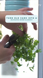 655K views · 2.5K reactions | Turn old cans into a hanging herb garden in just a few easy steps.  You'll be growing fresh herbs in your kitchen in no time! | HGTV Home | Facebook