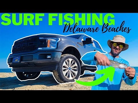 SURF FISHING in Lewes Delaware! Delaware Beaches with GNRF