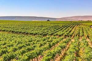 This Is Washington’s Coolest Wine Town—With Over 100 Tasting Rooms Just 30 Minutes from Seattle