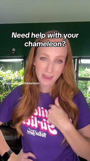 Ultimate Guide to Chameleon Care and Resources