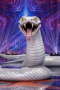 A young magician turned to a giant python in Agt stage😱😱 #agt #bgt #magic #AI | Kingdani magic