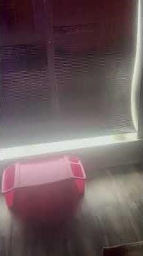 CHEAP EASY WAY TO WINTERIZE YOUR WINDOWS FOR A POWER OUTAGE OR STORM