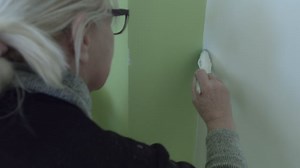 Renovate, Painter, Roller, Dye