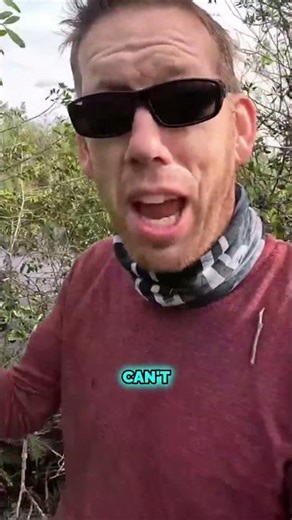 Nine feet of shed skin leads to an even more shocking find in the Everglades! 🐍