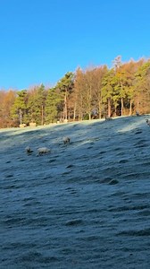 Miserden, one of the Cotswolds best kept secrets. Recently, on a day out pre-viewing properties on behalf of clients, I explored Miserden, tucked deep in the rolling hills between Stroud and Cirencester. Miserden is one of those magical Cotswold pockets that feels untouched by time. With Cotswold stone cottages, peaceful woodland walks and sweeping valley views, it’s the sort of place where you instantly breathe a little deeper. The Miserden Gardens are open to the public and are adored for thei