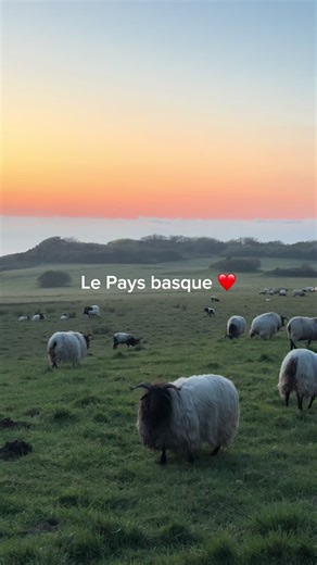 Le Pays basque ❤️