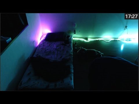 ごろごろするぜ。 2026/01/20