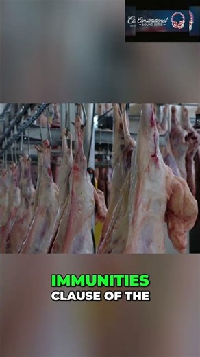 US Constitution Privileges & Immunities Clauses #shorts