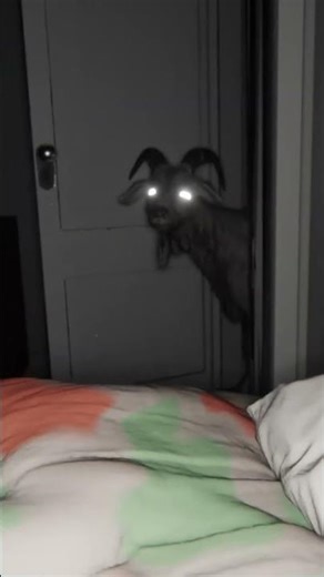 cursed goat #scary #cursed #shorts