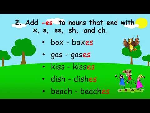 SINGULAR and PLURAL NOUNS / Developing Kids GRAMMAR & READING SKILLS