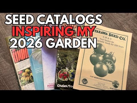Seed Catalogs Inspiring My 2026 Garden