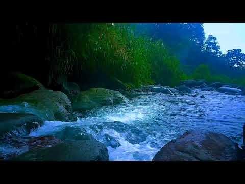 🎧 Soothing River Sounds for Deep Sleep Instantly | Nature Noise, Calm Mind, Meditation
