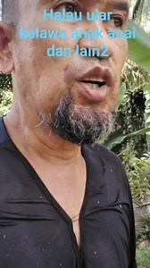 Cara halau ular kelawa anak anai pusu dan lain2 lagi. #malaysia #carahidup #untukfikir #คำเตือนใจ | Supee Diy