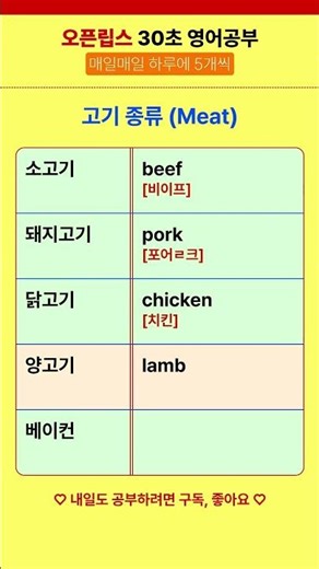 30초 컷! 고기 종류 영단어 5개 #영어단어 #고기종류 #영어공부 #영어회화 #기초영어 #원어민발음 #오픈립스 #shorts #learnenglish