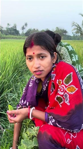 গ্রামের মাঠে দুই বোন থালকুলি পাতা তুলছে 🌿❤️ | Suman Fun box