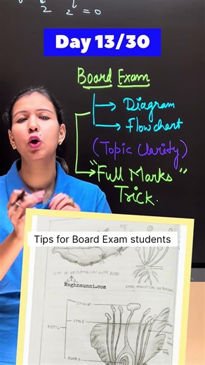 board exam tips day13/30 , diagram flowchart banao full marks pao #boardexam #boardexamtips