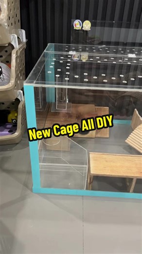 New Cage Set Up. All DIY for my Hamster 🐹 #hamsters #hamstersoftiktok #hamstertipsforbeginners #hamsterpropercare #happykeeping