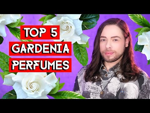 Top 5 Gardenia Perfumes - Top Five Gardenia Based Fragrances with Strong Character